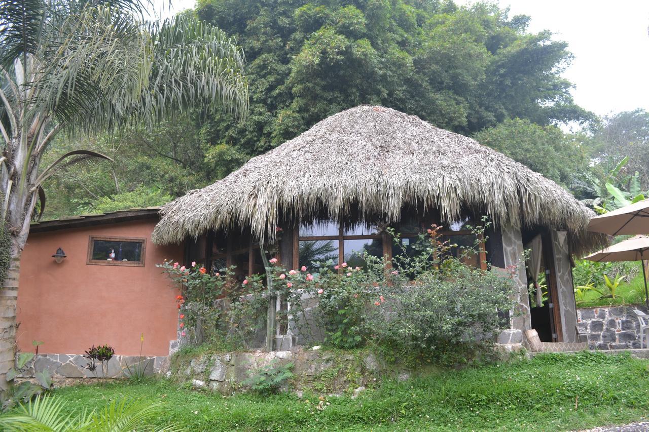 Eco Hotel La Jicarita Coatepec  Ngoại thất bức ảnh